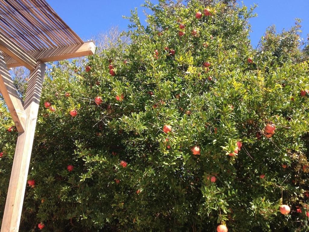 Marathón Τhe Banana Tree Beach House מראה חיצוני תמונה